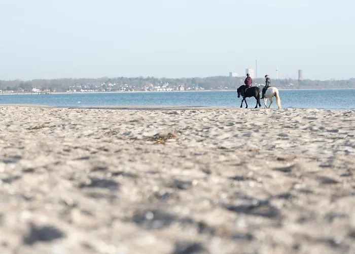 Apartamento Wohnpark Am Muehlenteich - 27a